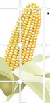 logo2